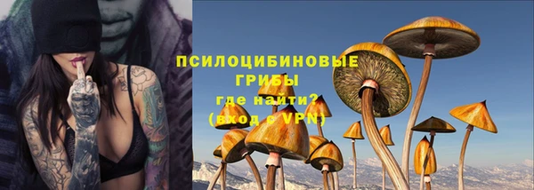 метадон Алексин