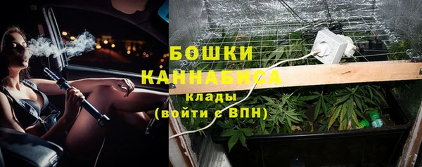 прущие грибы Приозерск
